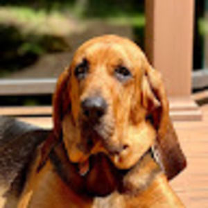 Meet your Posher, Eileen